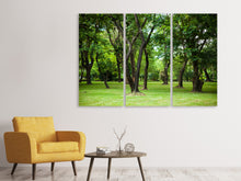 Laden Sie das Bild in den Galerie-Viewer, Leinwandbild 3-teilig Kirschbaum-Garten