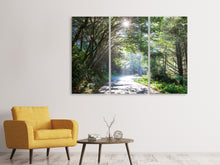 Laden Sie das Bild in den Galerie-Viewer, Leinwandbild 3-teilig Sonniger Waldweg