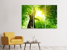 Laden Sie das Bild in den Galerie-Viewer, Leinwandbild 3-teilig Baum