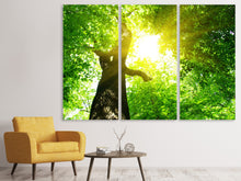 Laden Sie das Bild in den Galerie-Viewer, Leinwandbild 3-teilig Baum