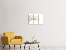 Laden Sie das Bild in den Galerie-Viewer, Leinwandbild 3-teilig Weisse Orchideen