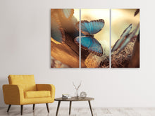 Laden Sie das Bild in den Galerie-Viewer, Leinwandbild 3-teilig Schmetterlinge