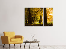 Laden Sie das Bild in den Galerie-Viewer, Leinwandbild 3-teilig Herbstlaub