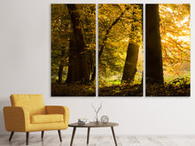 Laden Sie das Bild in den Galerie-Viewer, Leinwandbild 3-teilig Herbstlaub