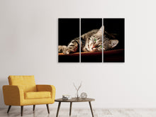 Laden Sie das Bild in den Galerie-Viewer, Leinwandbild 3-teilig Entspannte Katze