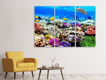 Laden Sie das Bild in den Galerie-Viewer, Leinwandbild 3-teilig Fischaquarium