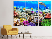Laden Sie das Bild in den Galerie-Viewer, Leinwandbild 3-teilig Fischaquarium