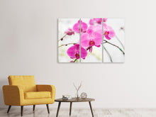 Laden Sie das Bild in den Galerie-Viewer, Leinwandbild 3-teilig Das Symbol der Orchidee