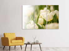 Laden Sie das Bild in den Galerie-Viewer, Leinwandbild 3-teilig Tulpenperspektive