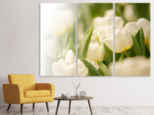 Laden Sie das Bild in den Galerie-Viewer, Leinwandbild 3-teilig Tulpenperspektive