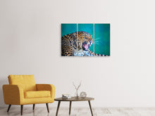 Laden Sie das Bild in den Galerie-Viewer, Leinwandbild 3-teilig Achtung Leopard