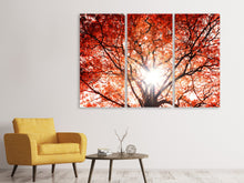 Laden Sie das Bild in den Galerie-Viewer, Leinwandbild 3-teilig Herbstlicht