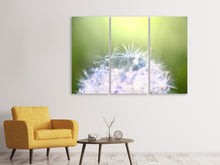 Laden Sie das Bild in den Galerie-Viewer, Leinwandbild 3-teilig Pusteblume XL im Morgentau