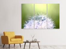 Laden Sie das Bild in den Galerie-Viewer, Leinwandbild 3-teilig Pusteblume XL im Morgentau