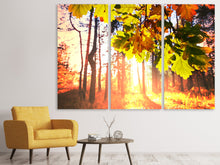 Laden Sie das Bild in den Galerie-Viewer, Leinwandbild 3-teilig Herbst