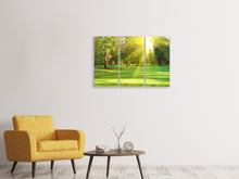 Laden Sie das Bild in den Galerie-Viewer, Leinwandbild 3-teilig Im Park
