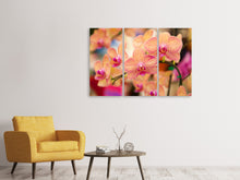 Laden Sie das Bild in den Galerie-Viewer, Leinwandbild 3-teilig Exotische Orchideen