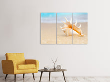 Laden Sie das Bild in den Galerie-Viewer, Leinwandbild 3-teilig Die Muschel am Strand