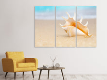 Laden Sie das Bild in den Galerie-Viewer, Leinwandbild 3-teilig Die Muschel am Strand
