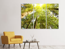 Laden Sie das Bild in den Galerie-Viewer, Leinwandbild 3-teilig Baumkronen in der Sonne
