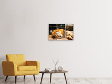 Laden Sie das Bild in den Galerie-Viewer, Leinwandbild 3-teilig Entspannter Löwe