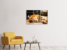Laden Sie das Bild in den Galerie-Viewer, Leinwandbild 3-teilig Entspannter Löwe