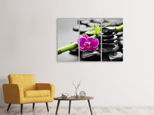 Laden Sie das Bild in den Galerie-Viewer, Leinwandbild 3-teilig Feng-Shui-Orchidee
