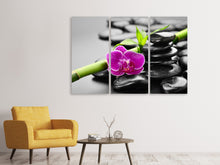 Laden Sie das Bild in den Galerie-Viewer, Leinwandbild 3-teilig Feng-Shui-Orchidee