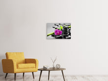 Laden Sie das Bild in den Galerie-Viewer, Leinwandbild 3-teilig Feng-Shui-Orchidee