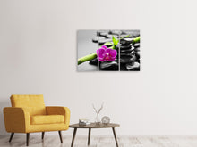 Laden Sie das Bild in den Galerie-Viewer, Leinwandbild 3-teilig Feng-Shui-Orchidee