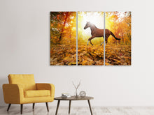 Laden Sie das Bild in den Galerie-Viewer, Leinwandbild 3-teilig Vollblut im Herbstwald