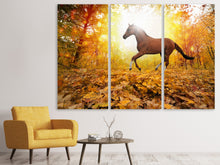 Laden Sie das Bild in den Galerie-Viewer, Leinwandbild 3-teilig Vollblut im Herbstwald