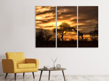 Laden Sie das Bild in den Galerie-Viewer, Leinwandbild 3-teilig African Dreams