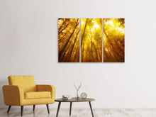 Laden Sie das Bild in den Galerie-Viewer, Leinwandbild 3-teilig Herbstwald