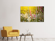 Laden Sie das Bild in den Galerie-Viewer, Leinwandbild 3-teilig Sommerliche Blumenwiese