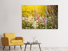 Laden Sie das Bild in den Galerie-Viewer, Leinwandbild 3-teilig Sommerliche Blumenwiese