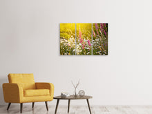Laden Sie das Bild in den Galerie-Viewer, Leinwandbild 3-teilig Sommerliche Blumenwiese