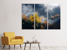 Laden Sie das Bild in den Galerie-Viewer, Leinwandbild 3-teilig Mondscheinwald