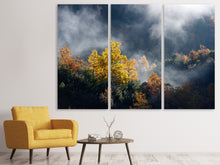 Laden Sie das Bild in den Galerie-Viewer, Leinwandbild 3-teilig Mondscheinwald