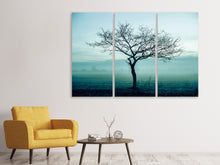Laden Sie das Bild in den Galerie-Viewer, Leinwandbild 3-teilig Der Zauberbaum