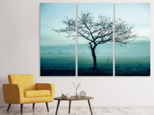Laden Sie das Bild in den Galerie-Viewer, Leinwandbild 3-teilig Der Zauberbaum