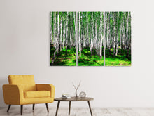 Laden Sie das Bild in den Galerie-Viewer, Leinwandbild 3-teilig Sommerlicher Birkenwald
