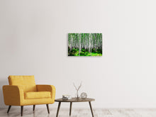 Laden Sie das Bild in den Galerie-Viewer, Leinwandbild 3-teilig Sommerlicher Birkenwald