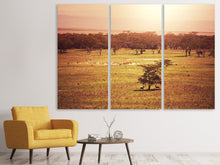 Laden Sie das Bild in den Galerie-Viewer, Leinwandbild 3-teilig Malerisches Afrika