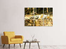 Laden Sie das Bild in den Galerie-Viewer, Leinwandbild 3-teilig Der Sibirische Tiger