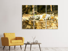 Laden Sie das Bild in den Galerie-Viewer, Leinwandbild 3-teilig Der Sibirische Tiger