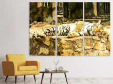Laden Sie das Bild in den Galerie-Viewer, Leinwandbild 3-teilig Der Sibirische Tiger