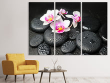 Laden Sie das Bild in den Galerie-Viewer, Leinwandbild 3-teilig Feng-Shui-Orchidee Zen