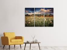 Laden Sie das Bild in den Galerie-Viewer, Leinwandbild 3-teilig Die Wiesenmargerite am Fluss