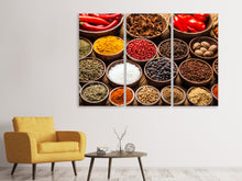 Laden Sie das Bild in den Galerie-Viewer, Leinwandbild 3-teilig Scharfe Gewürze